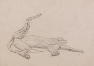 A Comparative Anatomical Exposition of the Structure of the Human Body with That of a Tiger and a Cow by George Stubbs